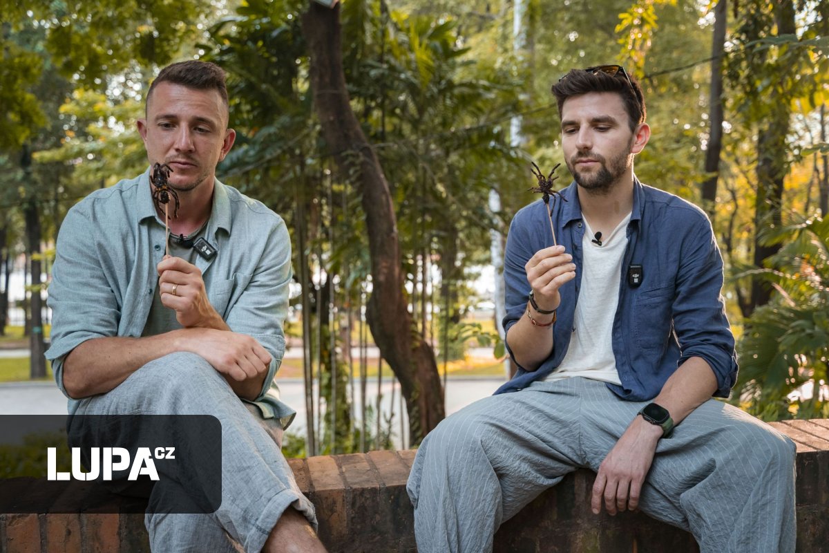 Streamovací platforma Prima+ má přes 300 tisíc platících uživatelů