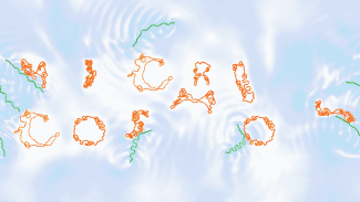 Microcosmos