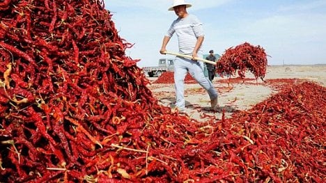 Náhledový obrázek - Šafrán, chilli papričky i žabí stehýnka: na čem vydělávají země miliardy dolarů