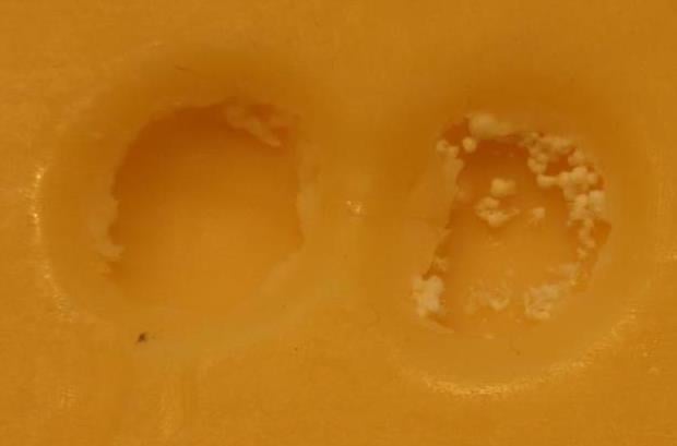 Nebezpečné potraviny - Kaufland, Louny, sýr Old Amsterdam. Na povrchu potraviny se vyskytovala plíseň zelené a bílé barvy viditelná pouhým okem. Při kontrole nebyly zjištěny nevyhovující teploty skladování této potraviny. Potravina neměla prošlé datum minimální trvanlivosti.