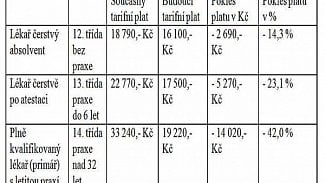 Náhledový obrázek - Drastické snížení platů lékařů by bylo posledním hřebíčkem do rakve českého zdravotnictví