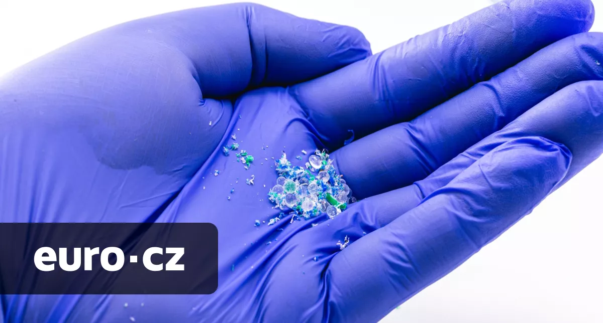 Jak zatočit se všudypřítomnými mikroplasty? Dle vědců z čínského Wu-chanu může přinést řešení houba z bavlny a kostí olihní
