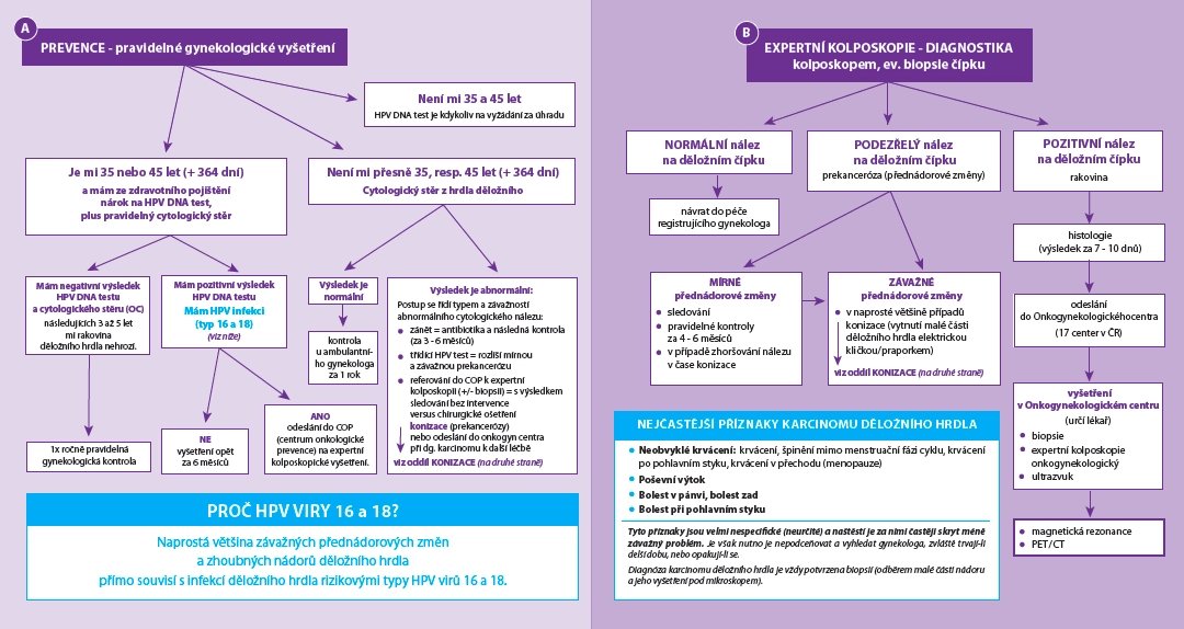 Cesty pacienta pomáhají orientovat se v léčbě i prevenci