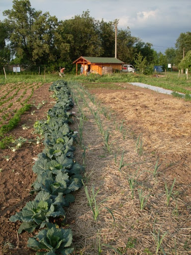 KomPot Nové Středokluky