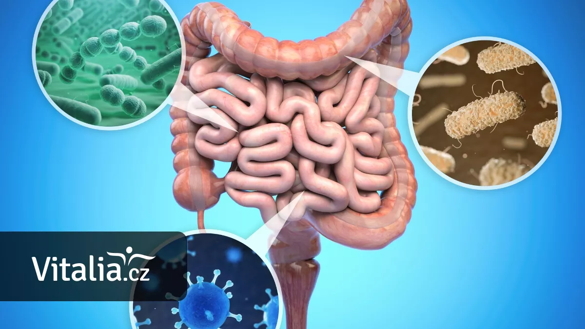 Jak si konečně zapamatovat, jak se liší probiotika a prebiotika a k čemu jsou dobrá