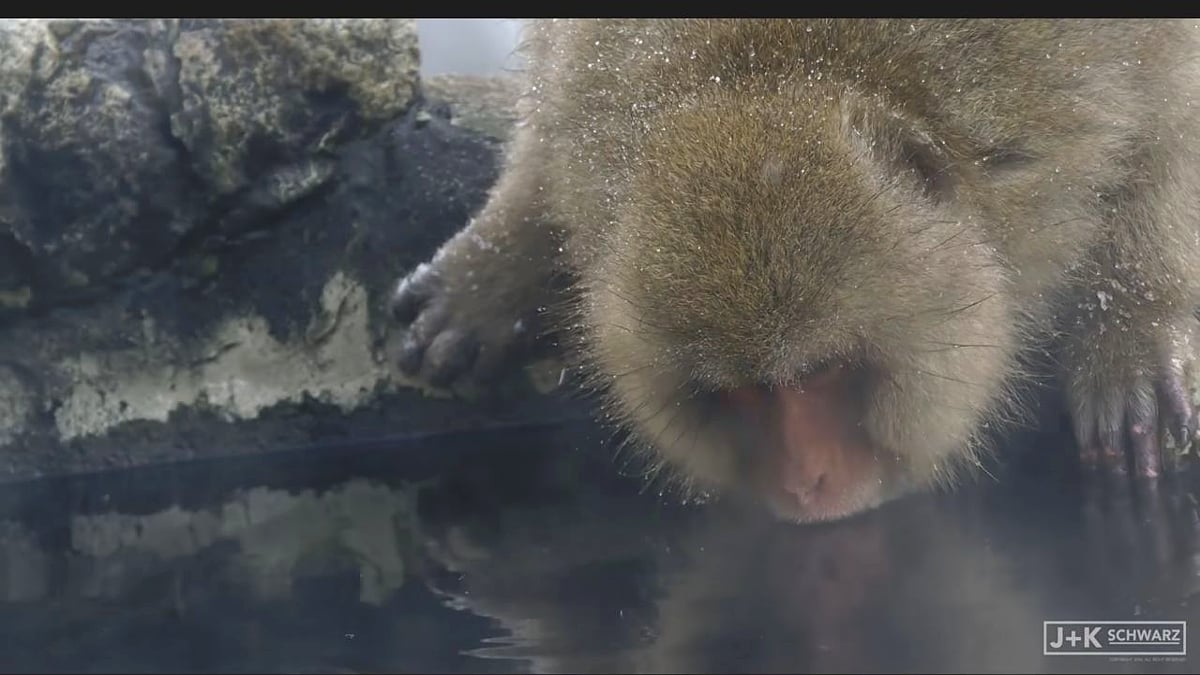 Alfawise H96 Mini - Ukázky přehrávání videosouborů