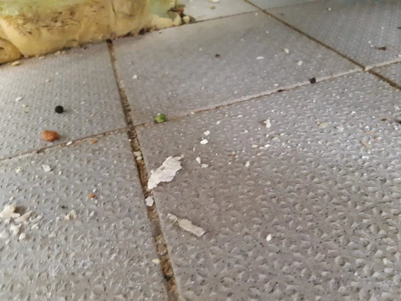 Jedním z nedostatků byla také nedodržená provozní hygiena