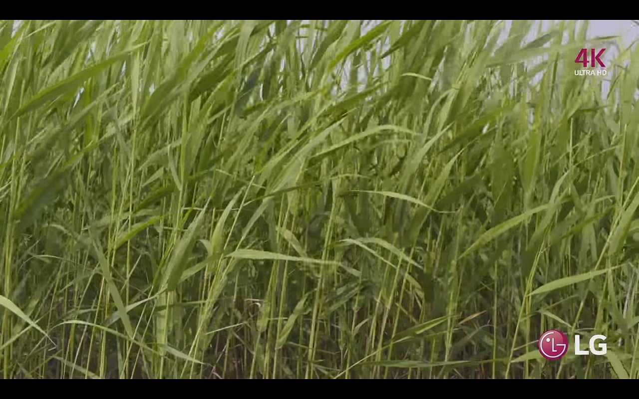 KODI a přehrávání videa