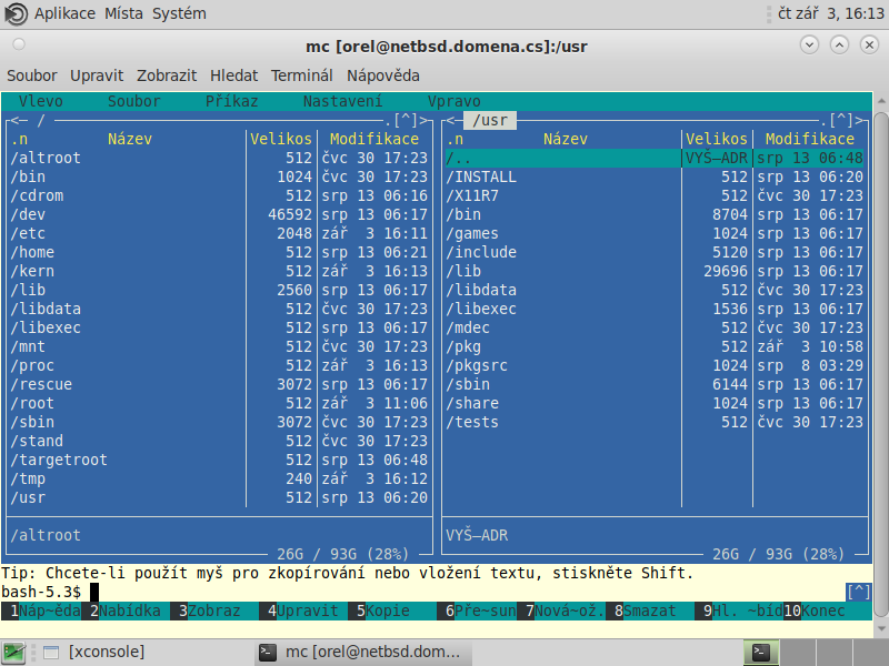 NetBSD 64bitový desktop