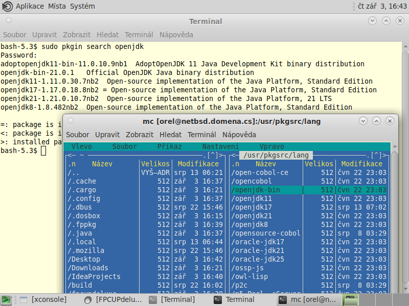 NetBSD 64bitový desktop