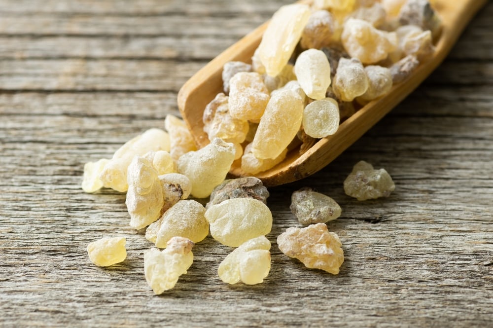 Kadidlovník (Boswellia sacra), což je dvouděložná dřevina z čeledi březulovitých, produkuje vonnou klejopryskyřici, která se průběžně sbírá jako kadidlo. Získává se nařezáváním kůry kmenů. Zaschlé výrony mají tvar kulovitých hrudek, zrn nebo krápníčků.