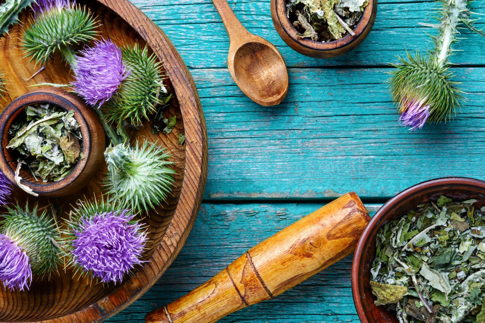 Jestliže sháníte lék na detoxikaci jater a celkovou očistu organismu, zkuste se v lékárně poptat po doplňcích stravy s ostropestřcem mariánským. Vyzkoušet pak můžete třeba tinkturu, čaj nebo tabletky s touto léčivkou.