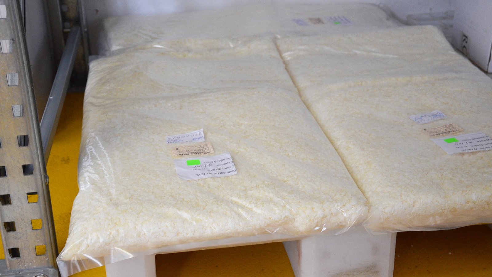 Na návštěvě u firmy RYOR