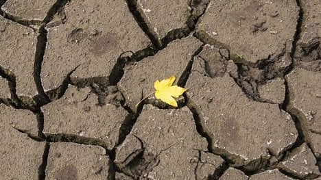Náhledový obrázek - Více než třetina Česka trpí zemědělským suchem. Prognóza zůstává pesimistická