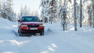 Náhledový obrázek - Za polárním kruhem (nejen) se Škodou Karoq: Sobi, zábava, kýč a zamrzlá příroda