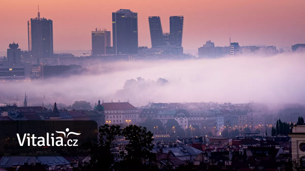 V Česku dýcháme vzduch, který škodí zdraví. Zvyšuje riziko rakoviny prsu, infarktu i rozedmy plic