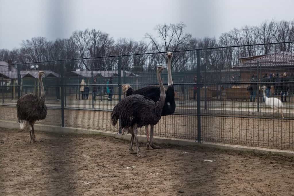 2018-06-soukromc3a9-palc3a1ce-ukrajinskc3a9ho-prezidenta-viktora