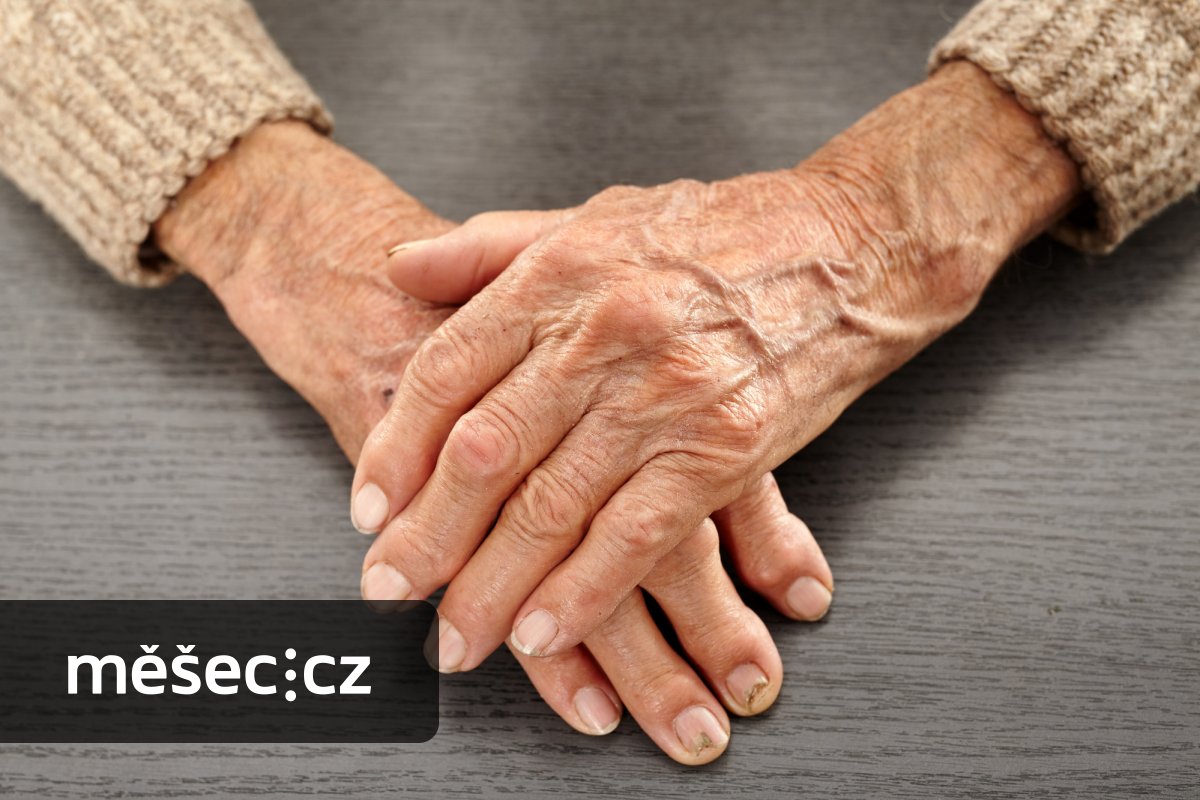 Stáří, nemohoucnost a péče. Kooperativa přišla s pojištěním, které si můžete platit až do smrti