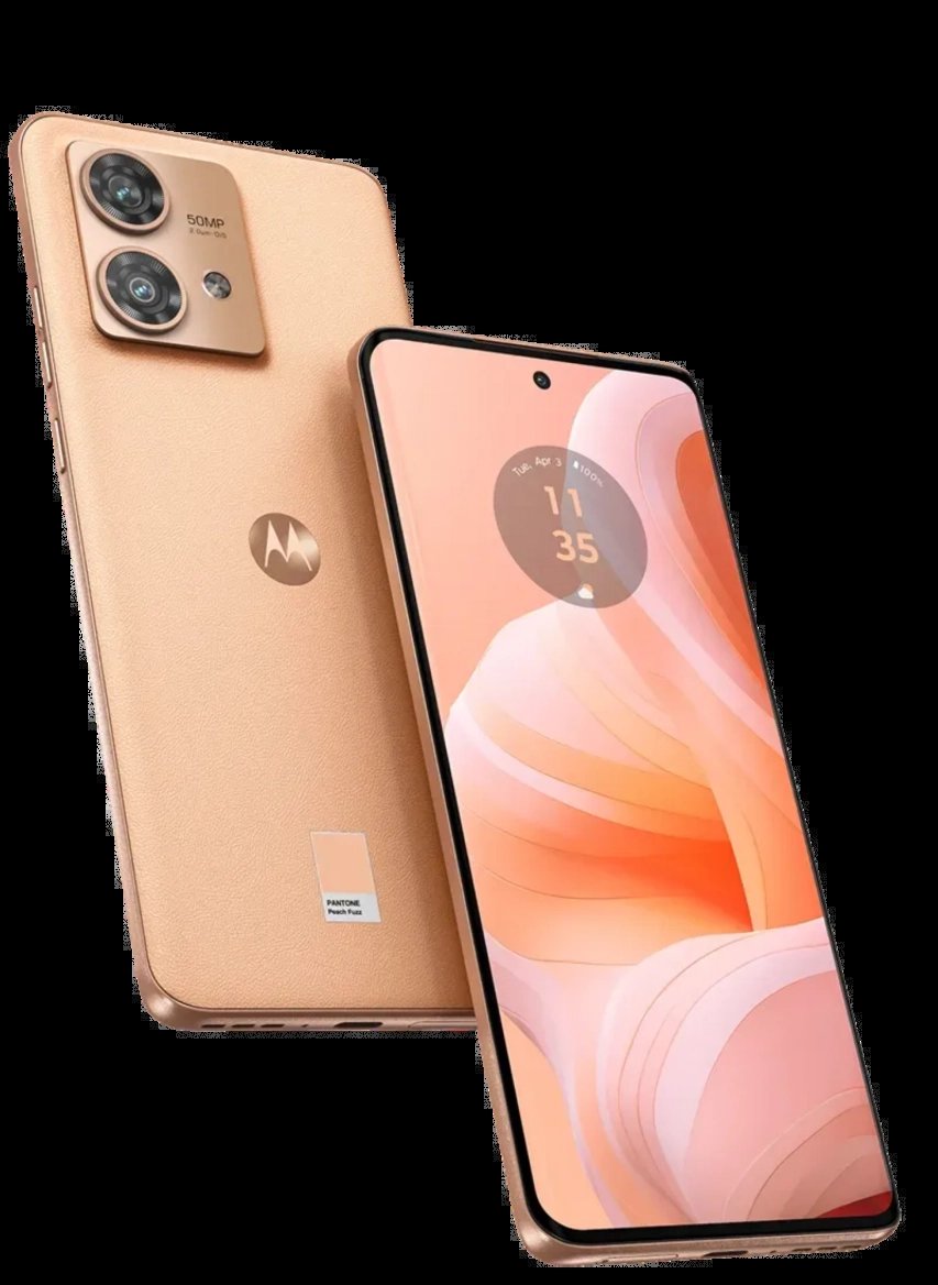 Peach Fuzz je barvou roku 2024. Podívejte se