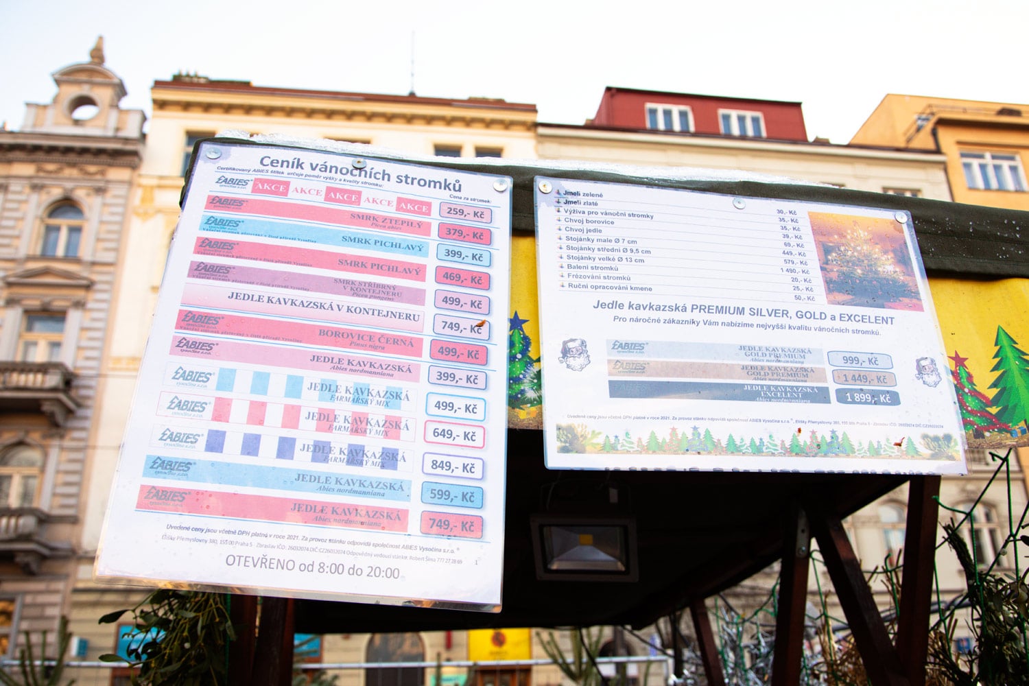 Ceny za vánoční stromky se výrazně nemění.