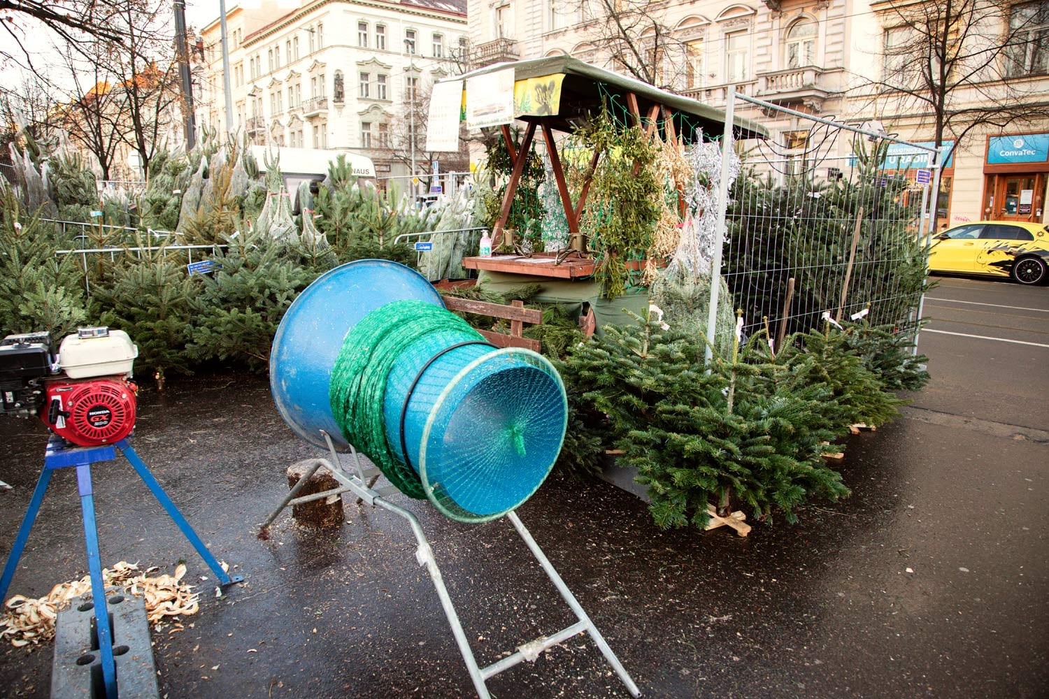 Prodej vánočních stromků v centru metropole