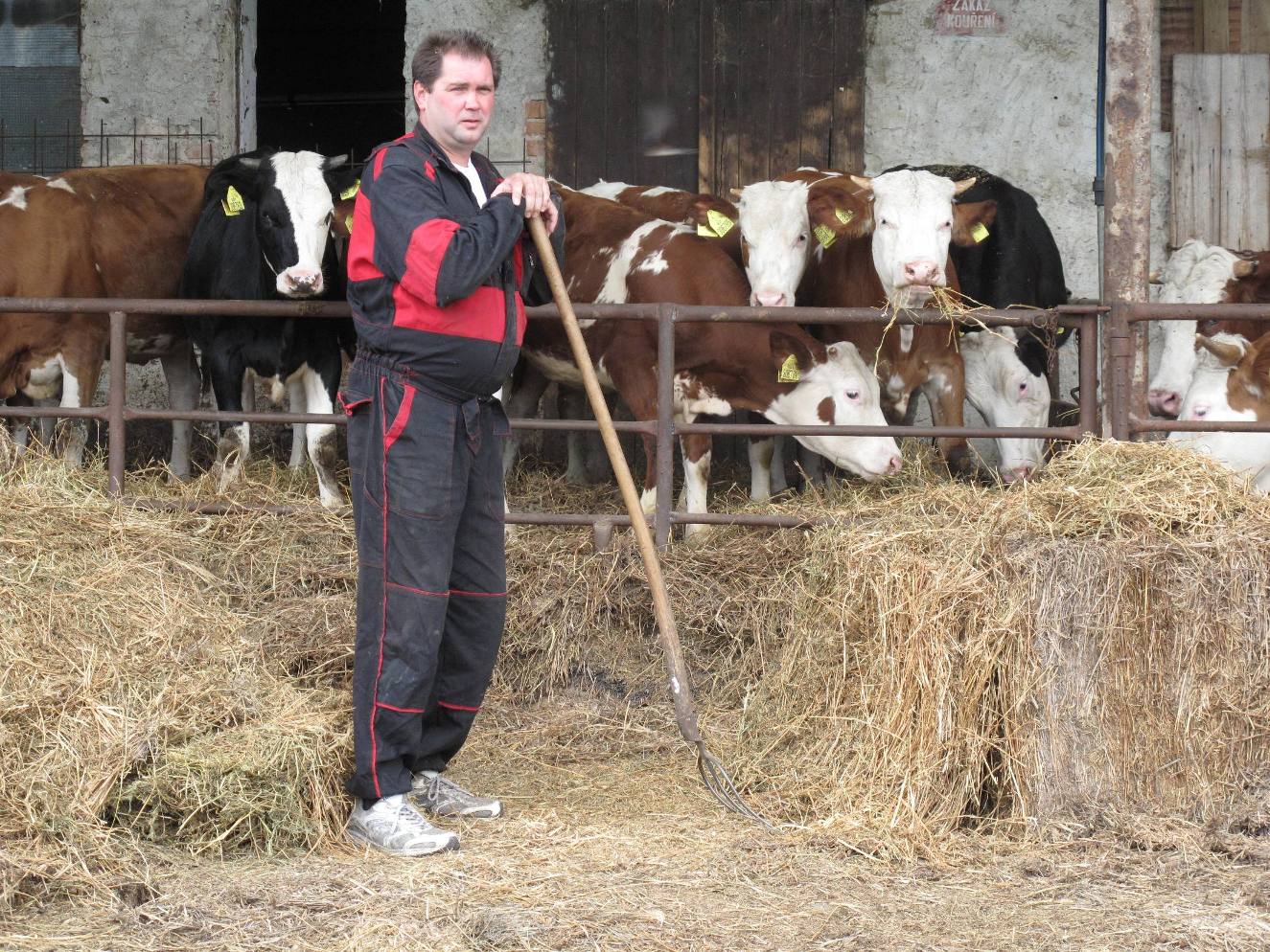 Roman, 39 let - Typický český statkář a myslivec svou úspěšnou farmu vybudoval vlastníma rukama a těší se, že najde ženu ochotnou podílet se na jejím dalším rozvoji.