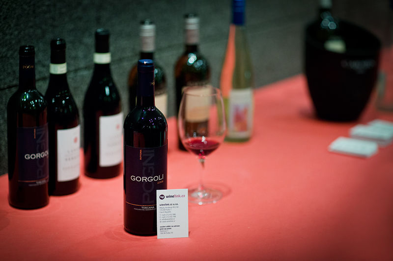 Czech Internet Forum 2013