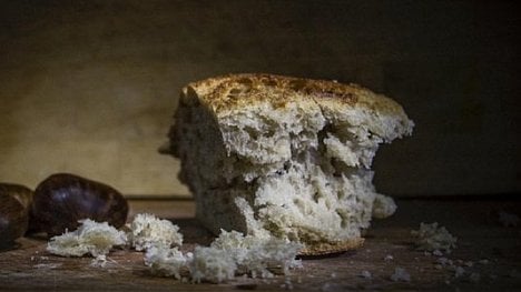 Náhledový obrázek - Elektřina místo potkanů. Nizozemci chtějí využít vyhozený chleba