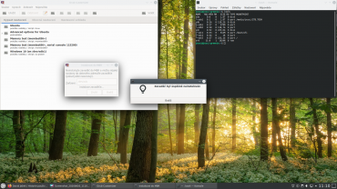 Greenie Linux 20.04 - Grub Customizer