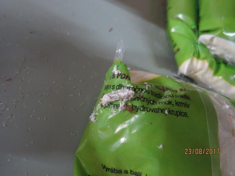 Thi Hong Trinh, Teplice: PŠENIČNÁ KRUPICA JEMNÁ DEHYDROVANÁ - uvnitř potraviny se vyskytovali mrtví škůdci a stopy po jejich činnosti (pavučinky). Potravina měla poškozený obal činností škůdců. Škůdci se vyskytovali i na obalech potraviny. Živí a mrtví škůdci se vyskytovali i na prodejních regálech, kde se tato potravina nacházela.