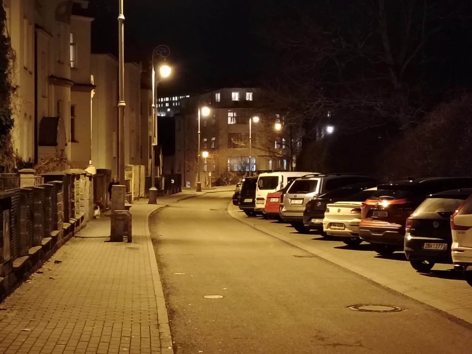 3násobný digitální zoom