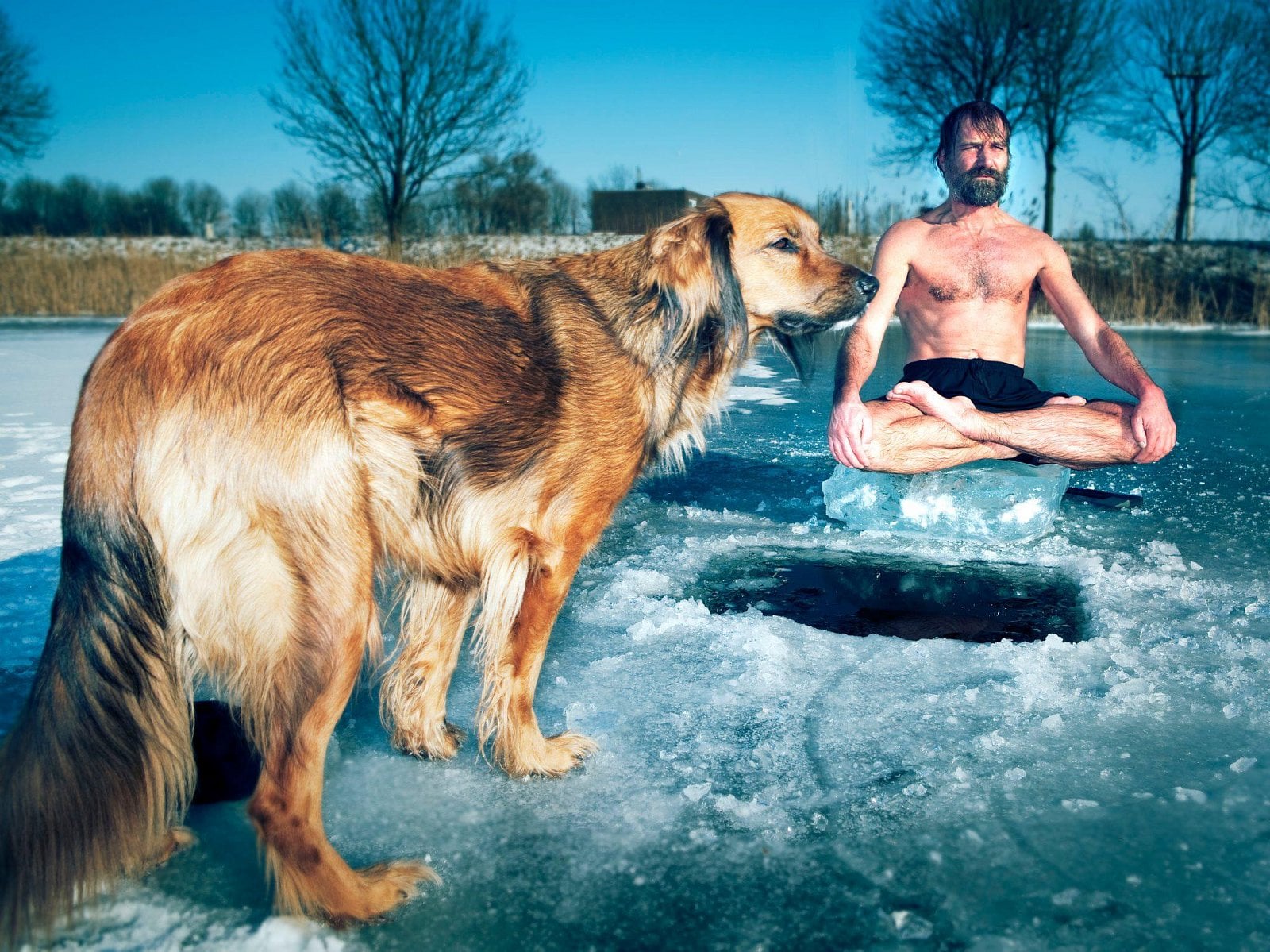 Wim Hof