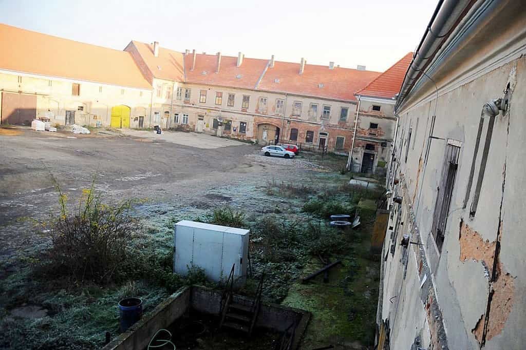 2013-11-cc3adrkevnc3ad-pokuc5a1enc3ad-z-polc3ad-jsou-drahc3a9-pa