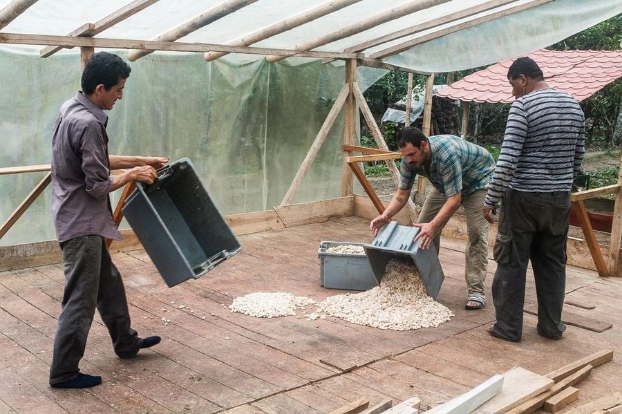 Farma čokoládových bobů