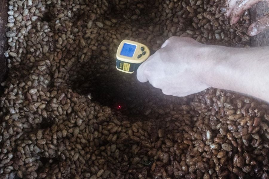 Farma čokoládových bobů