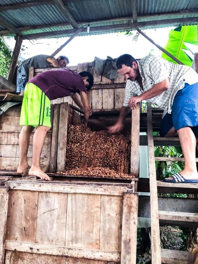 Farma čokoládových bobů