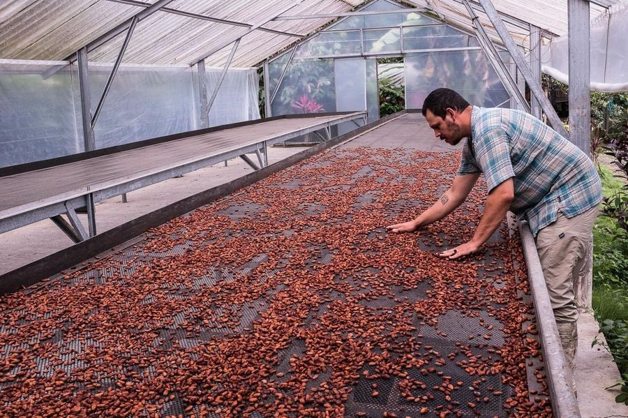 Farma čokoládových bobů