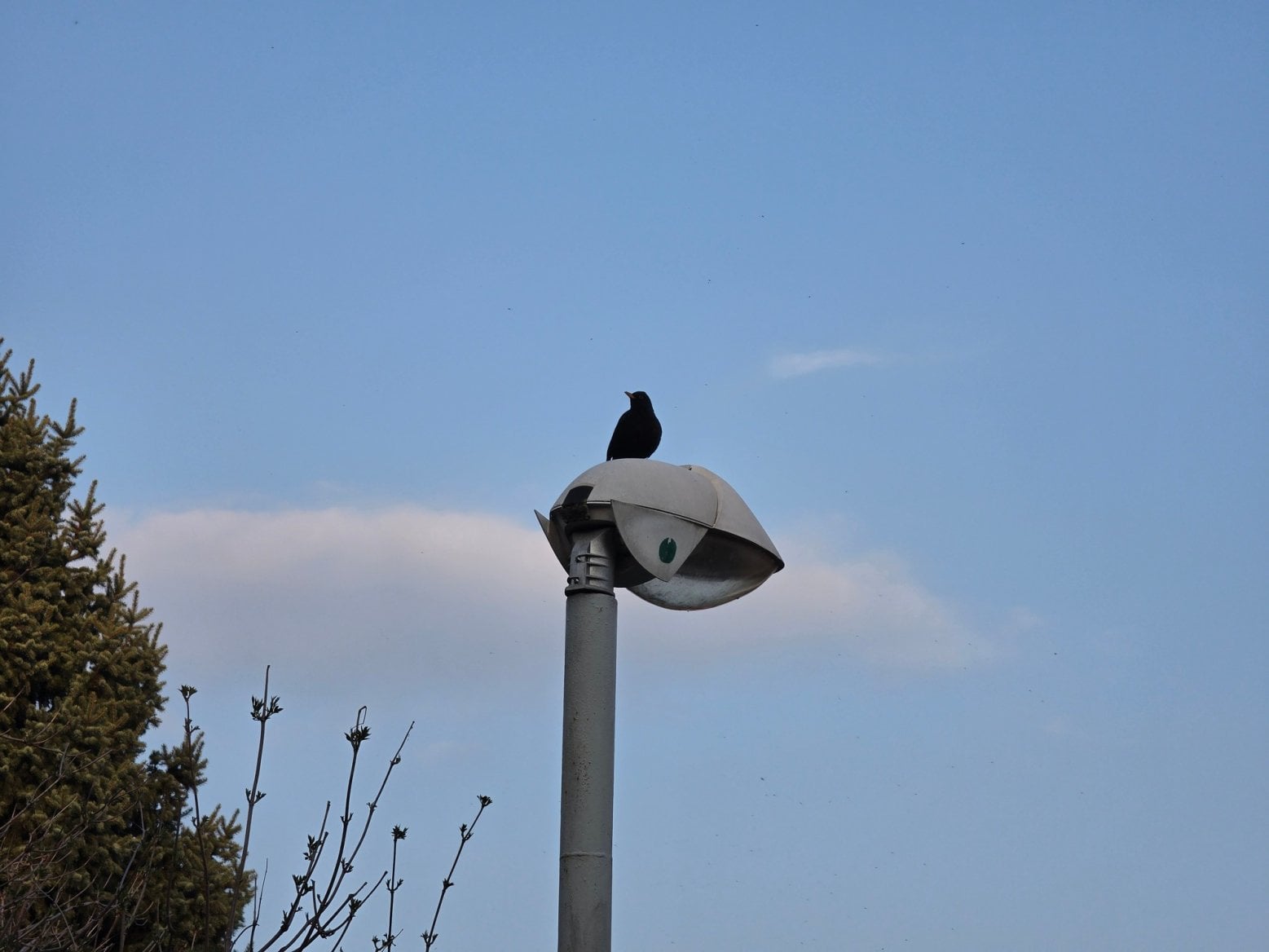 Samsung Galaxy S26 Ultra