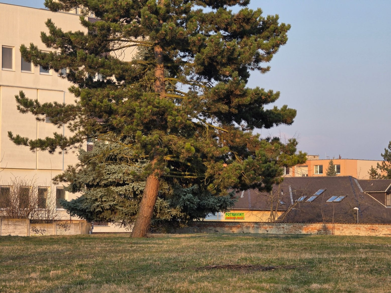 Samsung Galaxy S26 Ultra