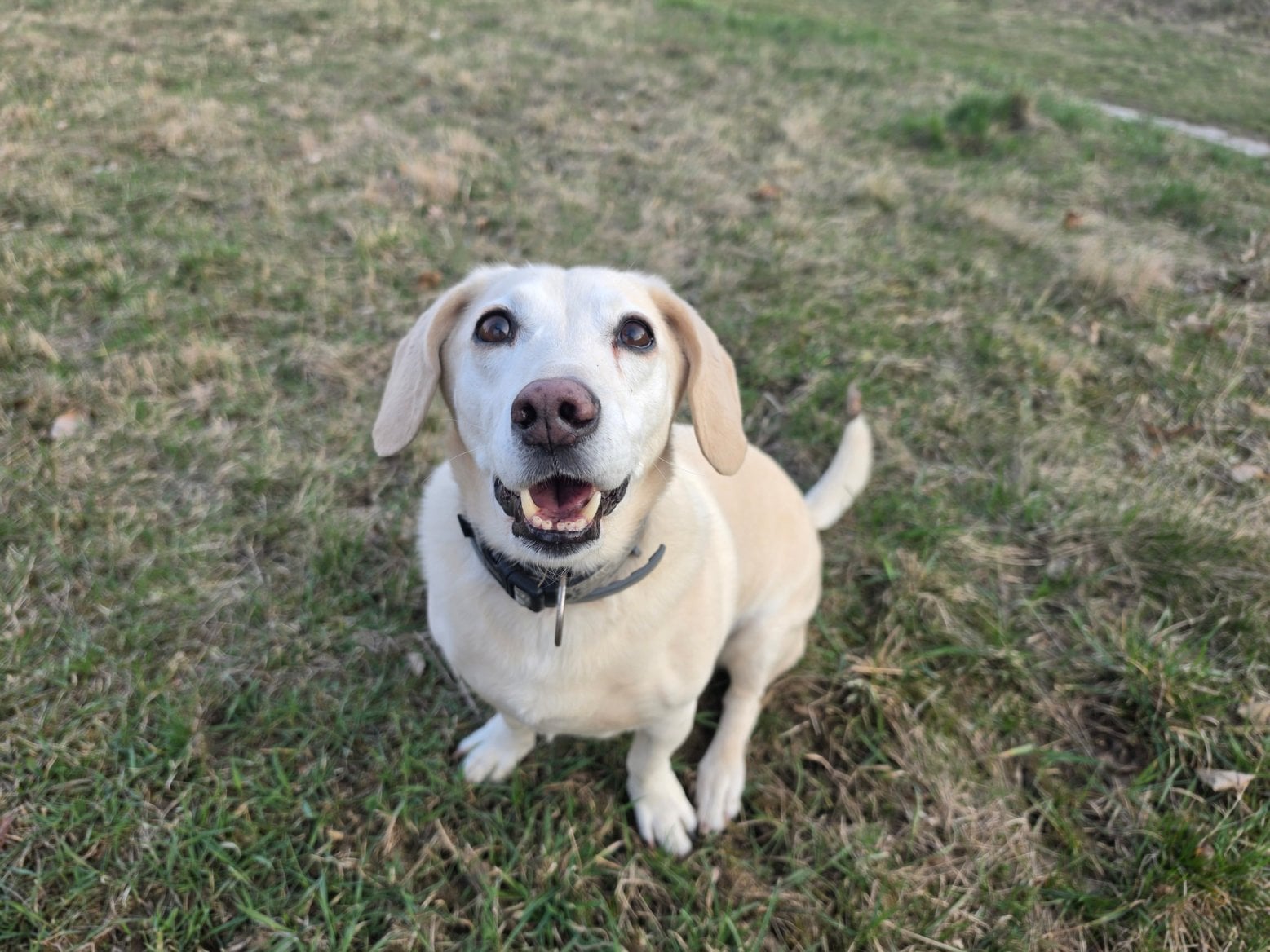 Samsung Galaxy S26 Ultra