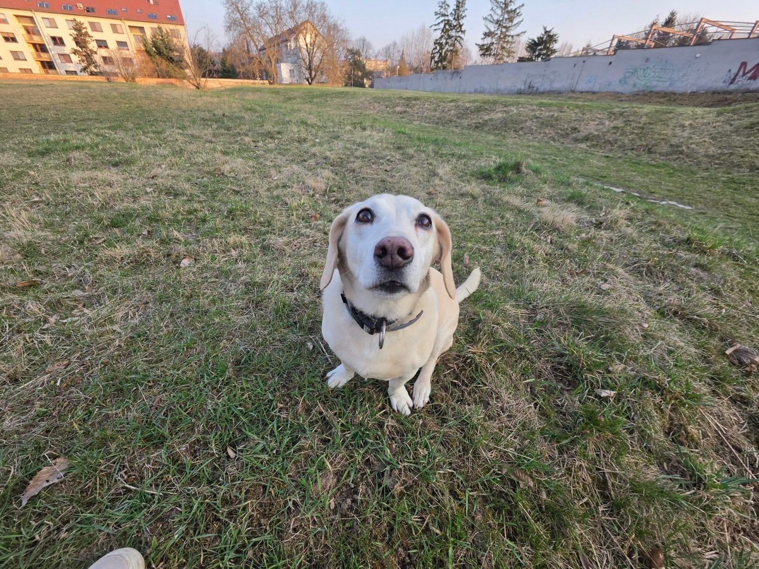 Samsung Galaxy S26 Ultra