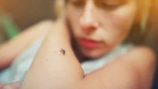 Náhledový obrázek - V oblasti s rizikem horečky dengue žije téměř polovina světové populace. Nemoc se přenáší komáry