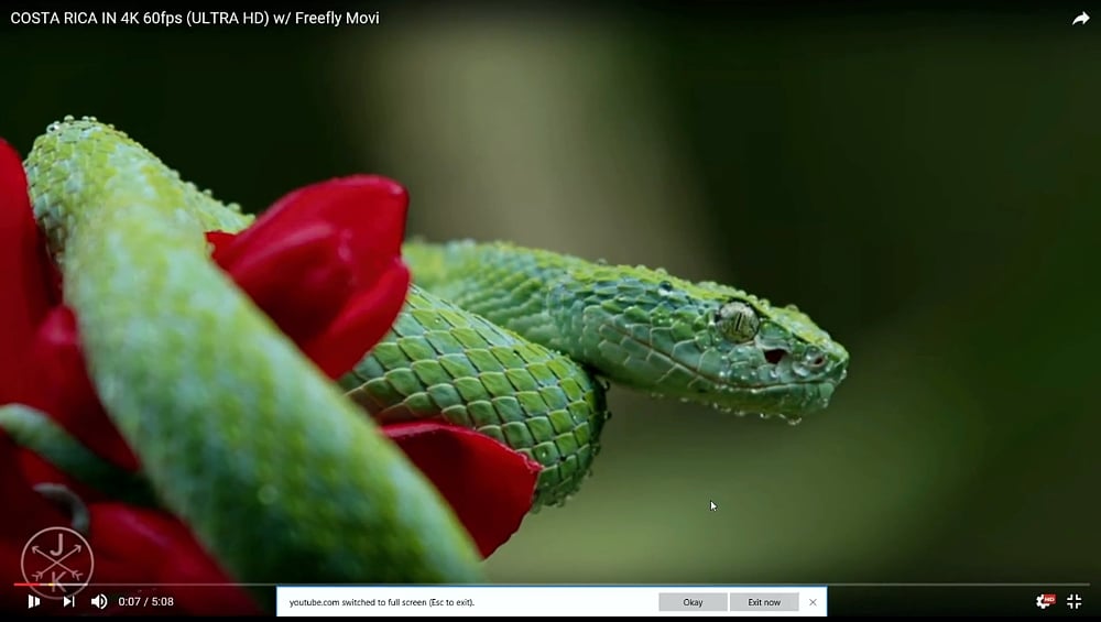 Ukázky přehrávání streamovaného videa