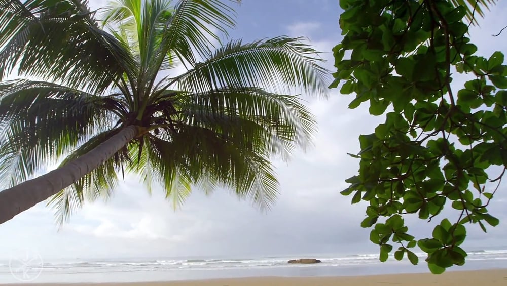 Ukázky přehrávání streamovaného videa