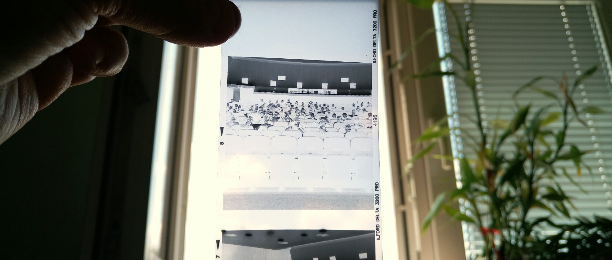 Ilford Delta 3200 @ 12800