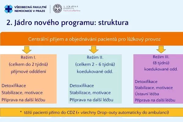 Schéma proměny péče pro závislé ve VFN