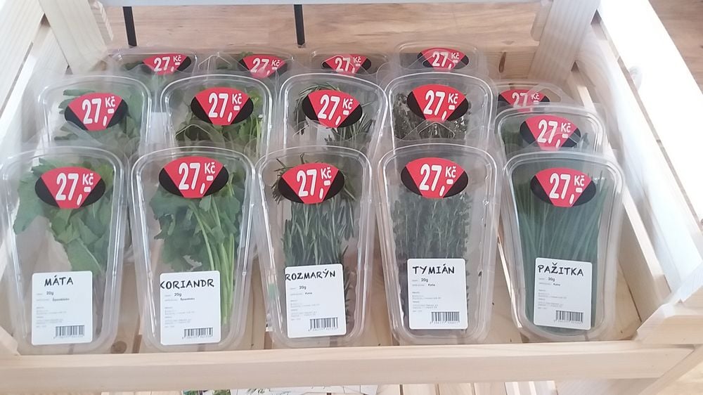 Bylinky.cz: Z Moravy do supermarketů