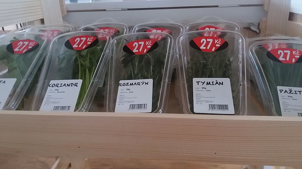 Bylinky.cz: Z Moravy do supermarketů