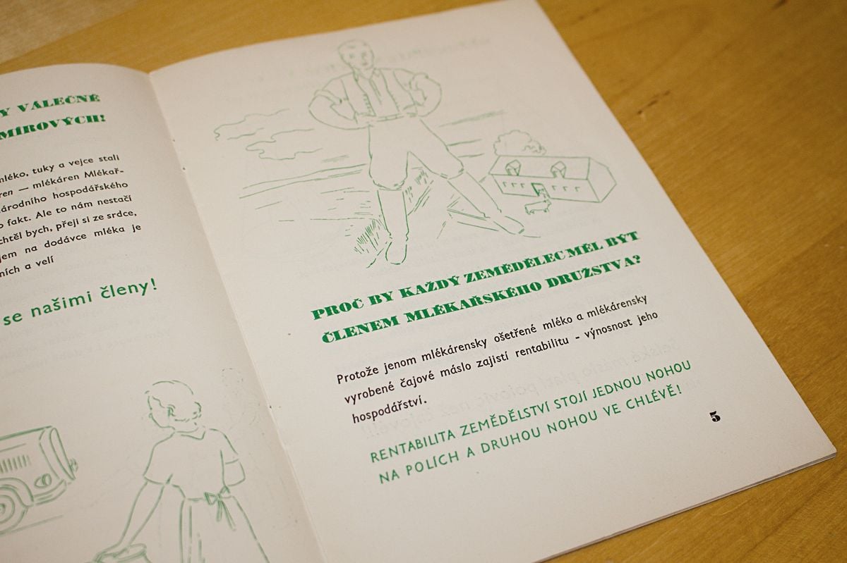 Rytíř Řádu camembertu má sbírku zapomenutých sýrů