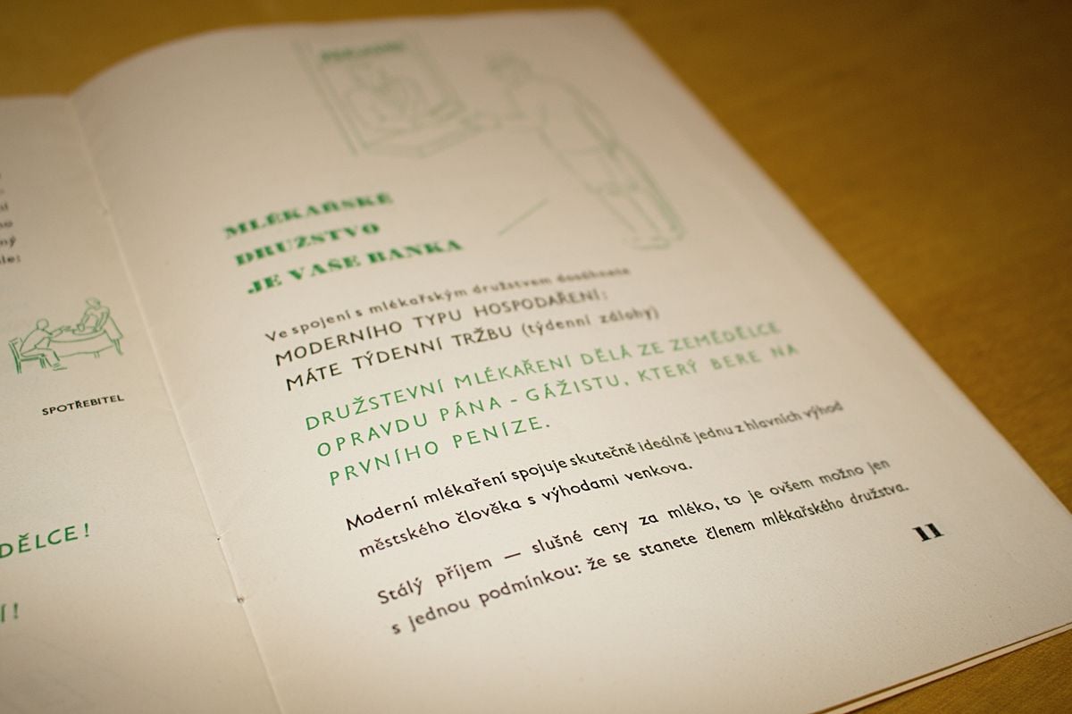 Rytíř Řádu camembertu má sbírku zapomenutých sýrů